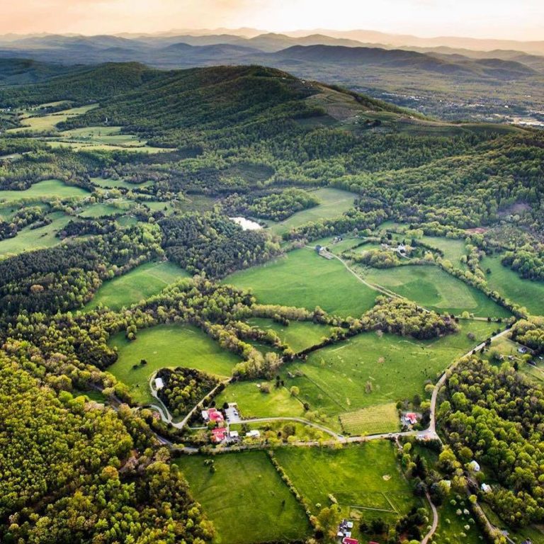 Episode 38: Jefferson Vineyards
